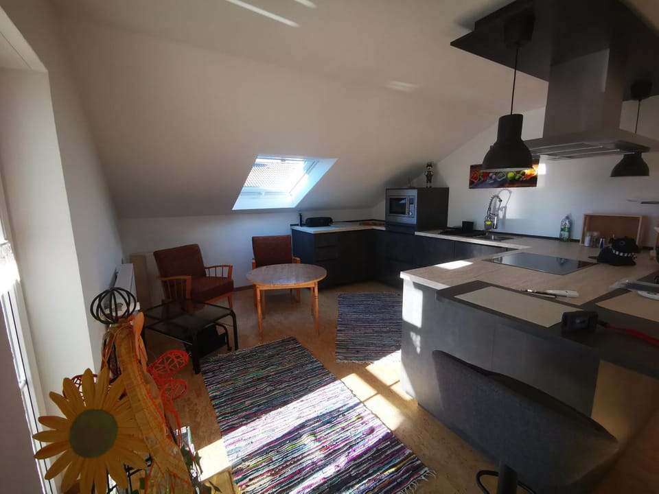 Kitchen or kitchenette, Living room, Dining area, stove