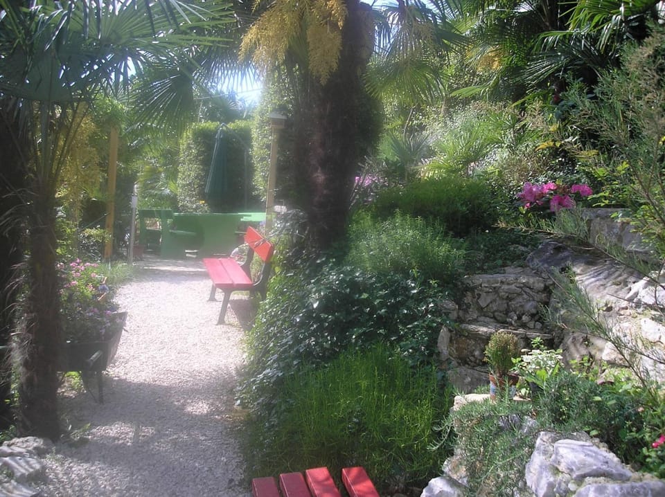 Garden