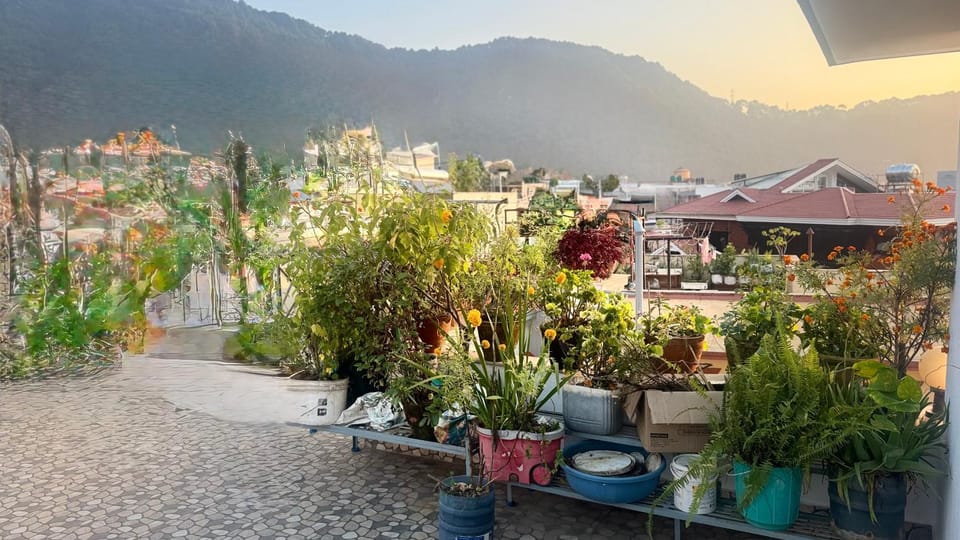 Day, Natural landscape, Garden, Garden view