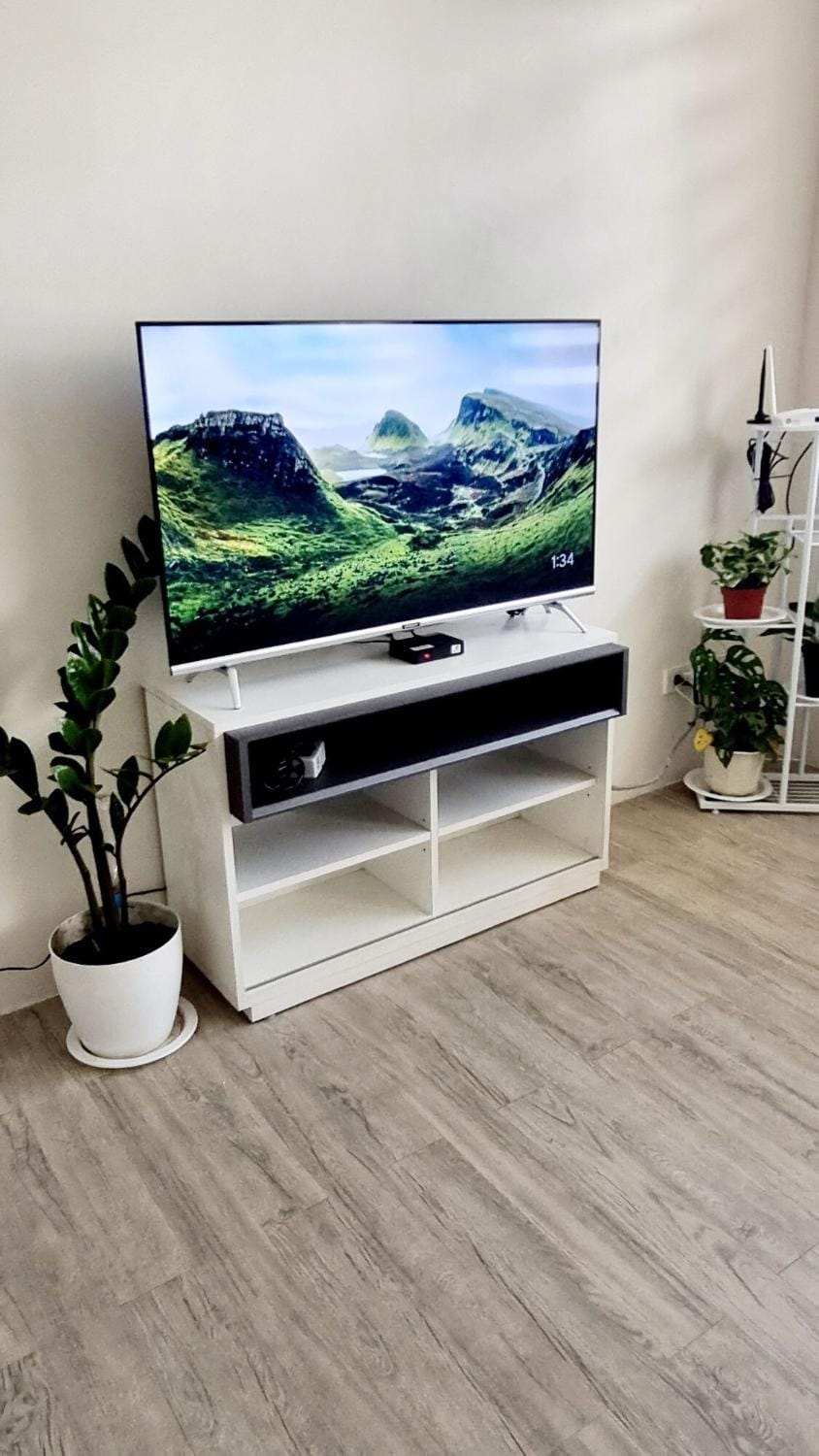 TV and multimedia, Evening entertainment