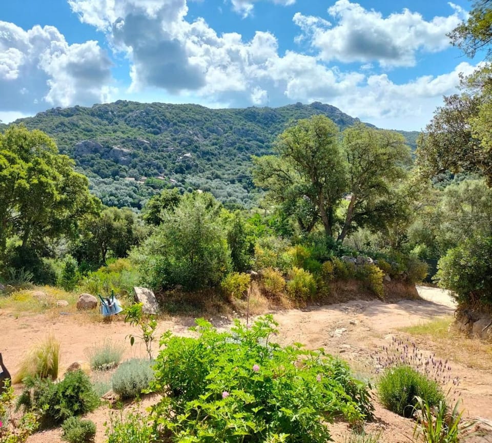 Natural landscape, Mountain view
