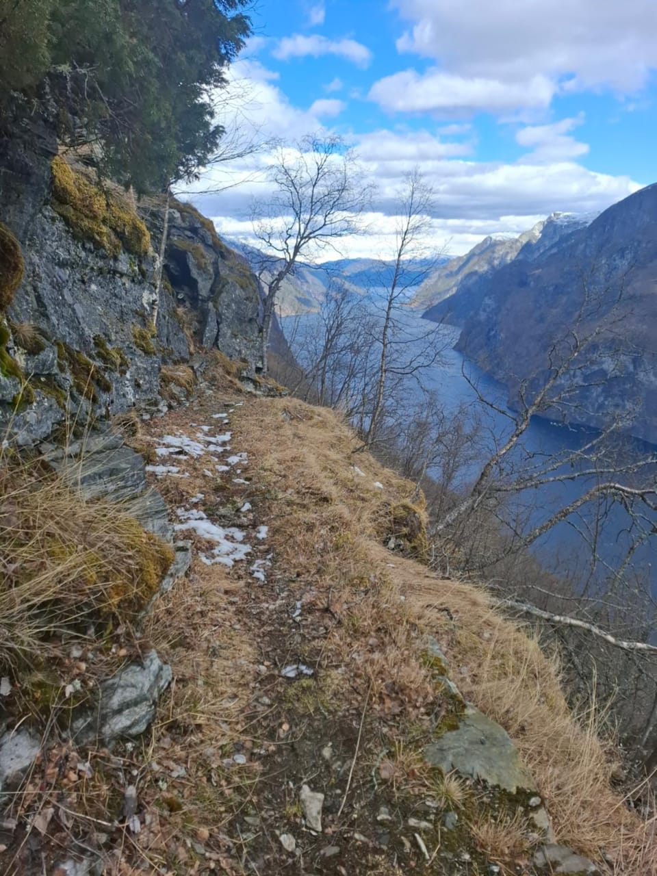 Natural landscape