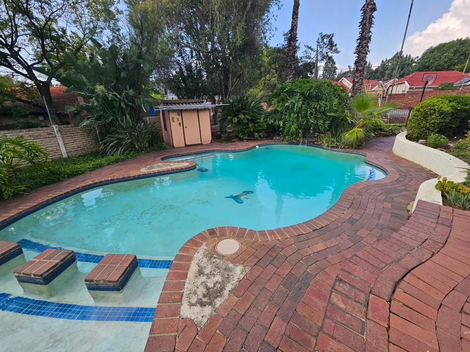 Swimming pool, Swimming pool