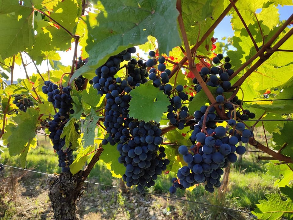 Natural landscape, Hiking