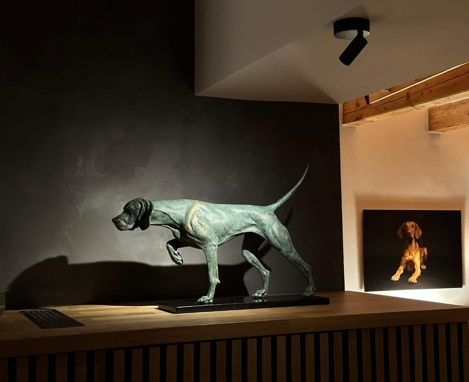 Decorative detail, Pets