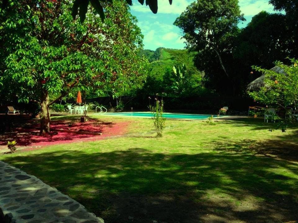 Day, Garden