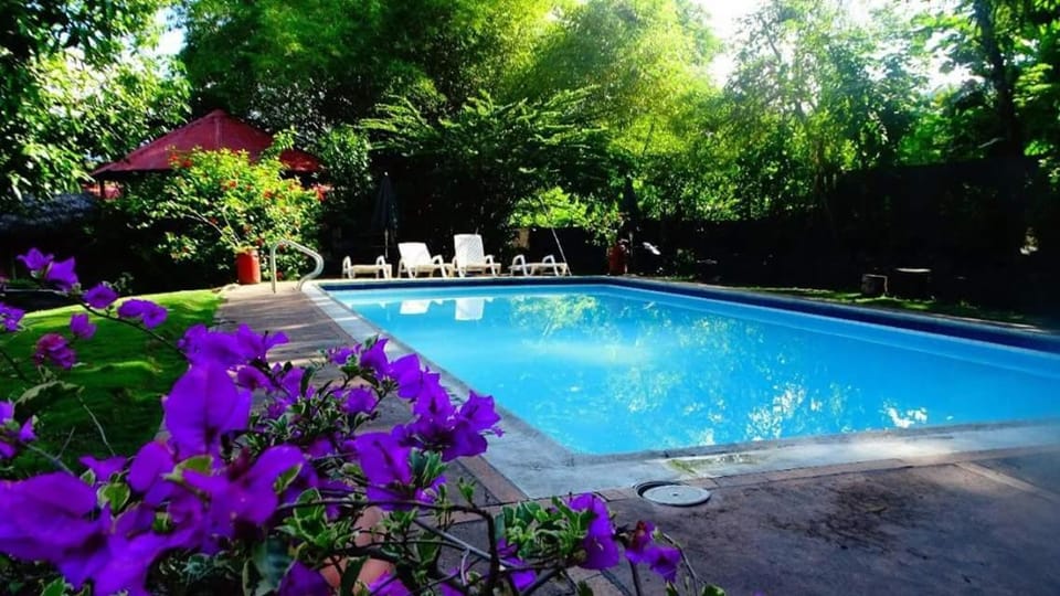 Pool view, Swimming pool, Swimming pool