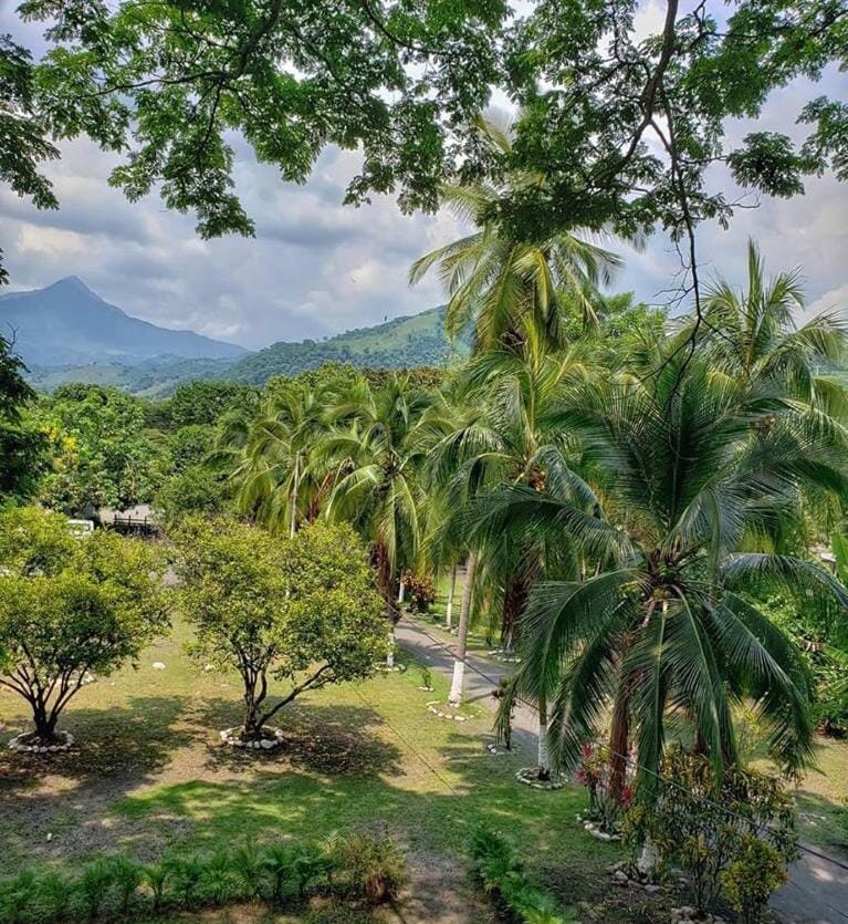 Natural landscape, Garden view