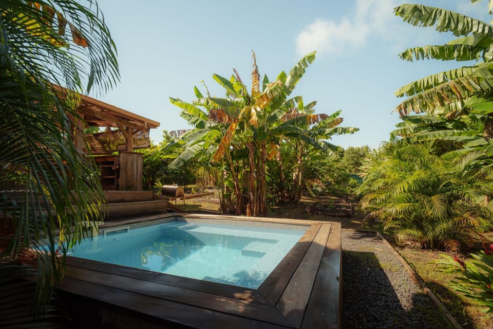 Hot Tub, Swimming pool