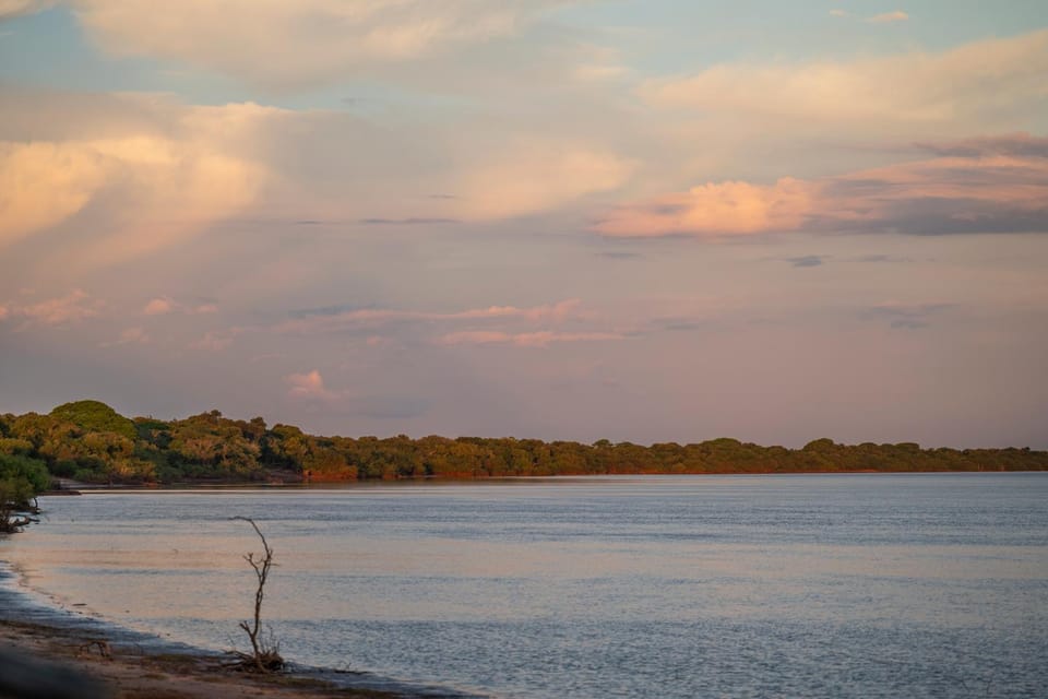 Natural landscape, Beach, River view