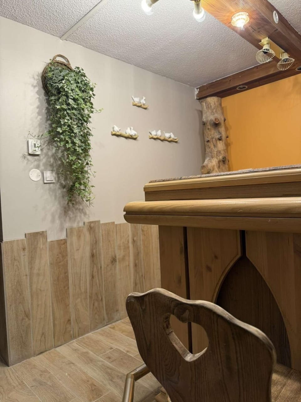 Le Savoyard - Bar & Jacuzzi Apartment in Haute-Savoie