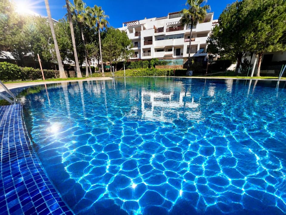 Garden, Pool view, Swimming pool