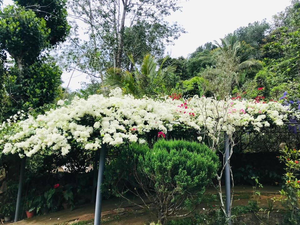 Bella Vista Ella Vacation rental in Uva Province, Sri Lanka