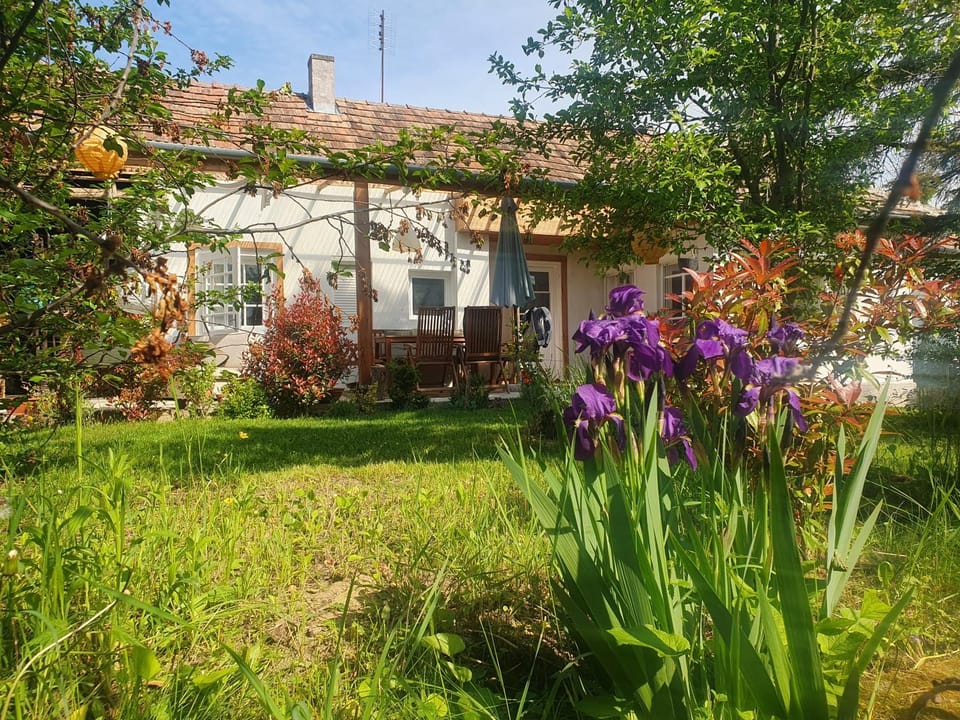 Porta House in Hungary