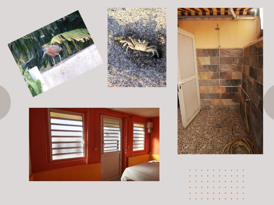 Shower, Facade/entrance, Natural landscape, Open Air Bath