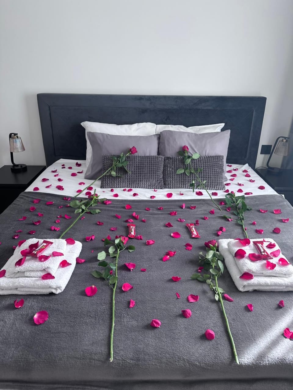 Waterfront Belgrade Peaceful Nest Apartment Apartment in Belgrade