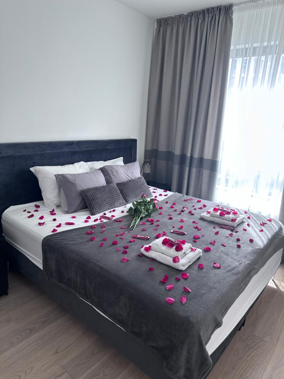 Waterfront Belgrade Peaceful Nest Apartment Apartment in Belgrade