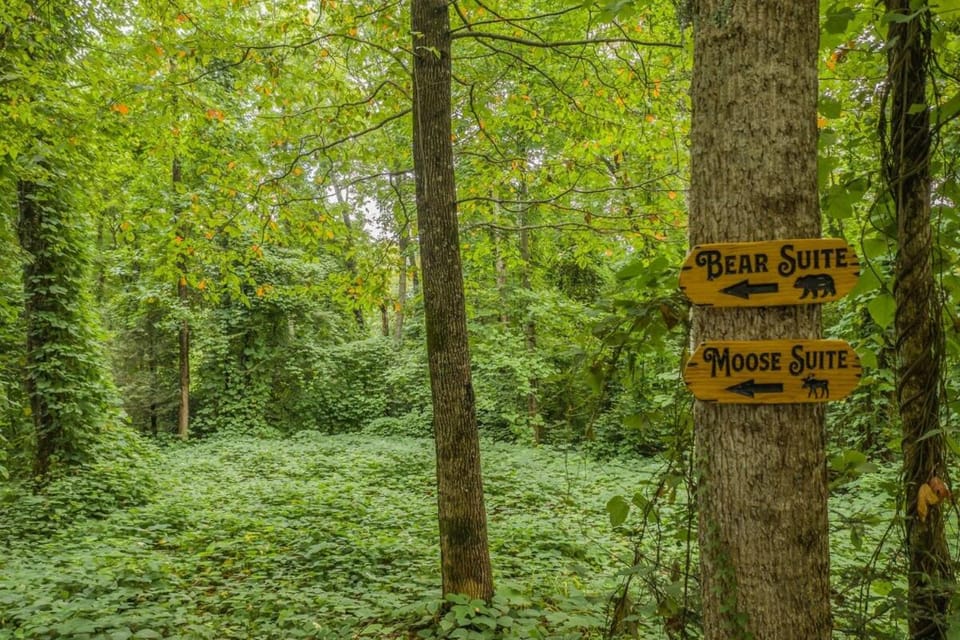 Property logo or sign, Natural landscape