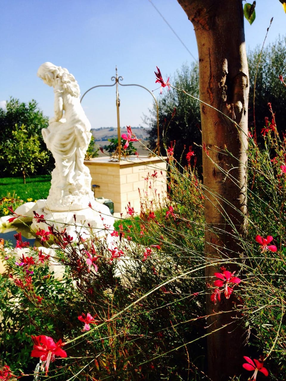 On site, Garden view
