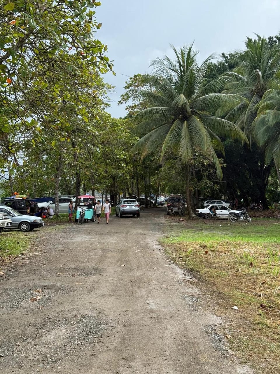 Natural landscape, Location
