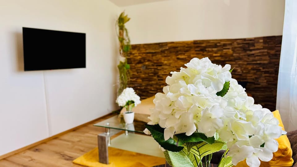 CK Apartment Apartment in Upper Austria