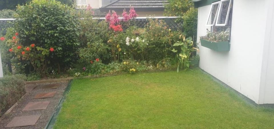Garden, Garden view, Garden view