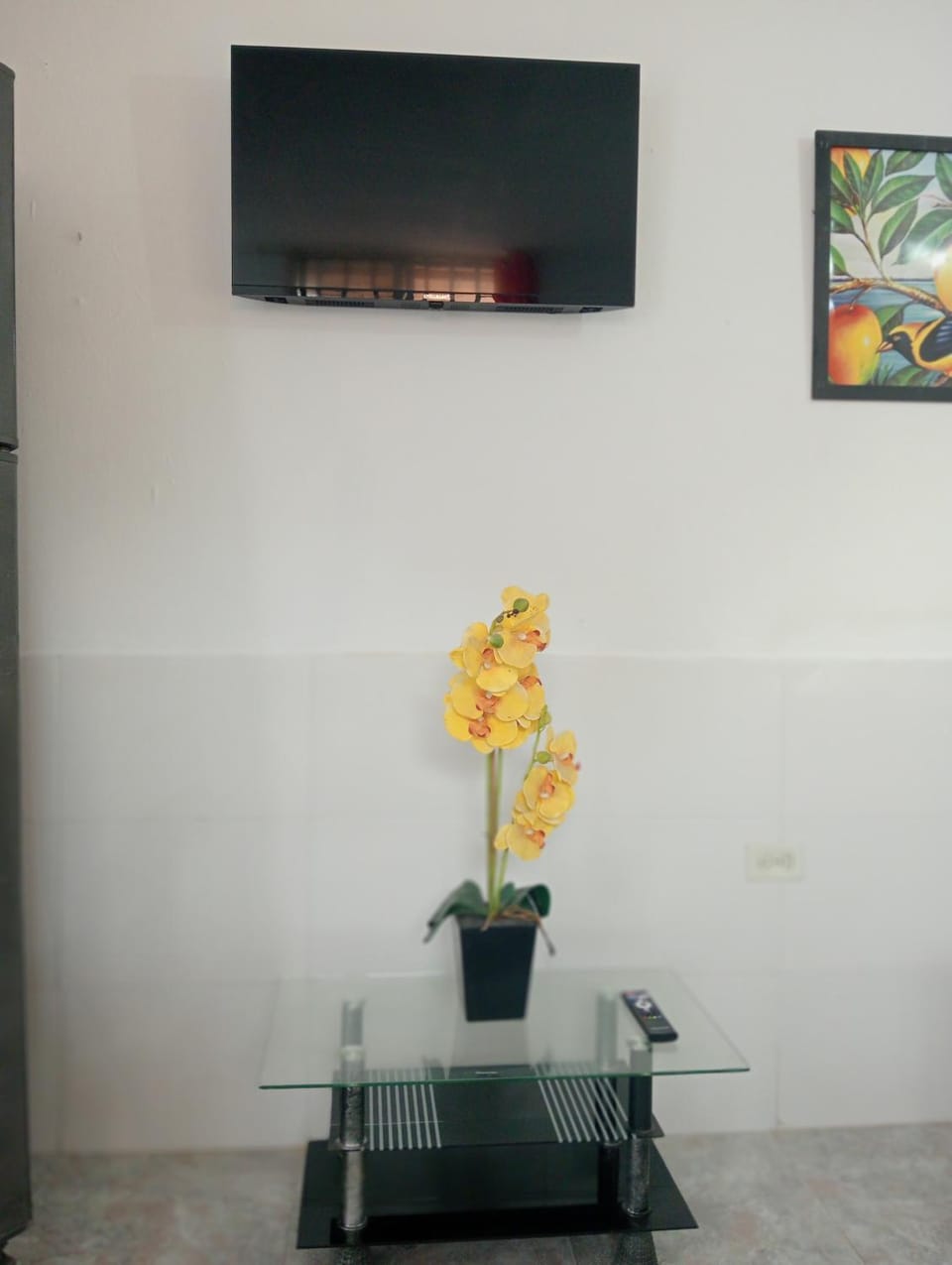 TV and multimedia