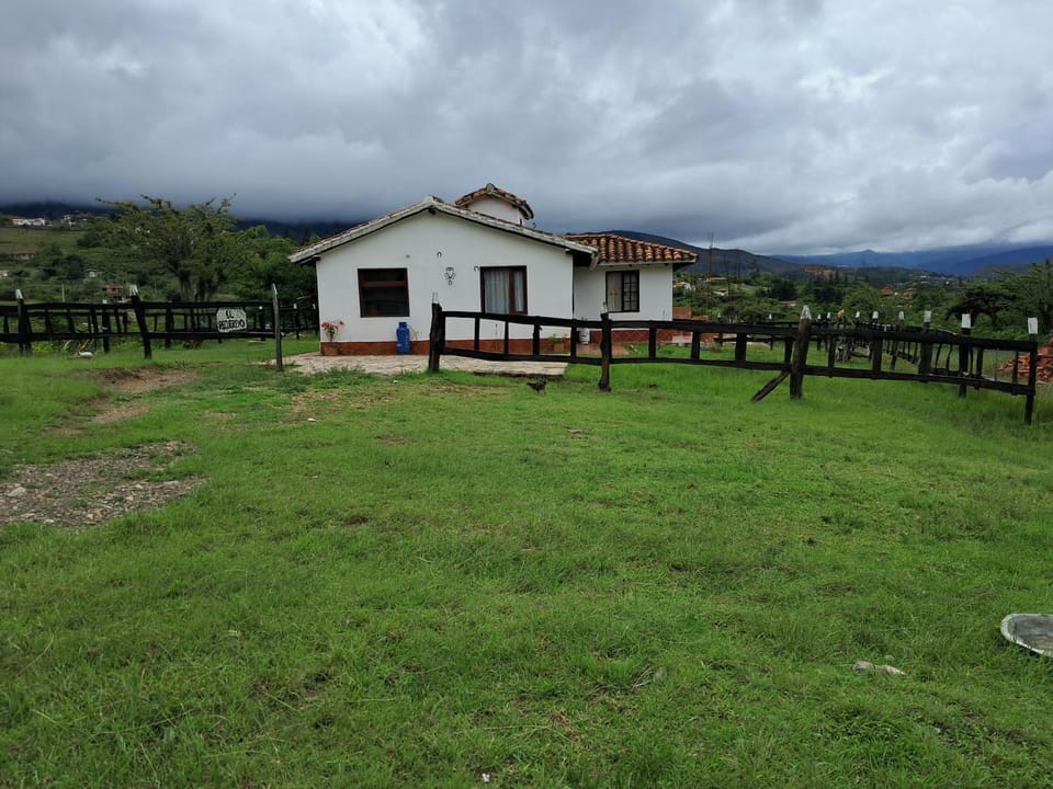 Day, Natural landscape, Garden, Garden view, Mountain view