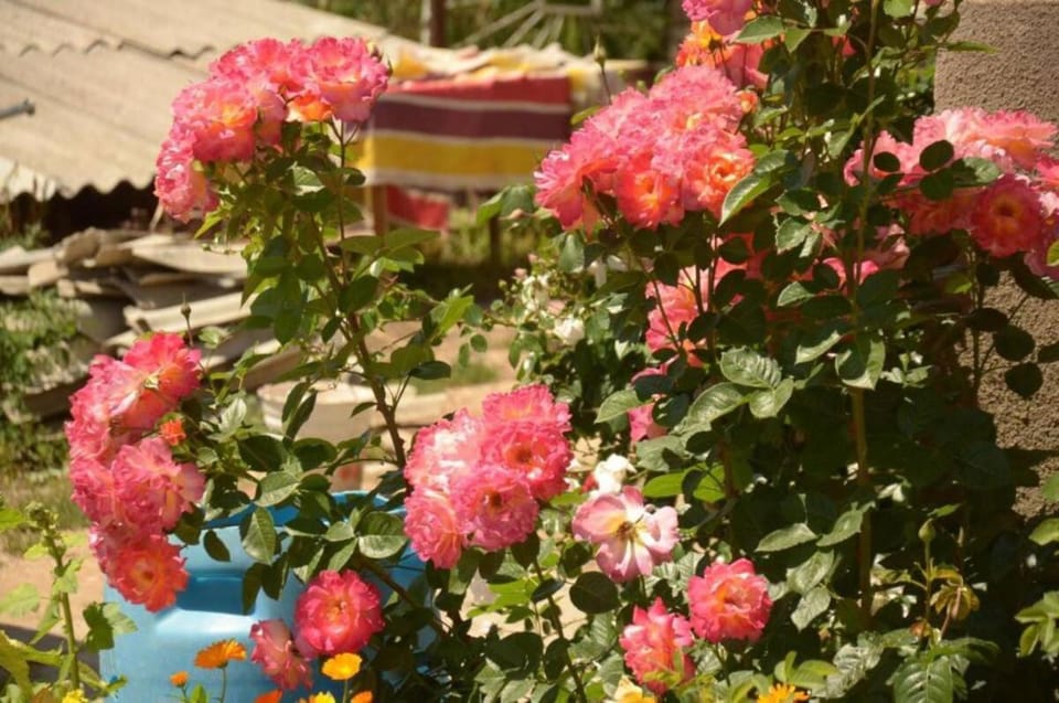 Sabyl Bed and Breakfast in Almaty Region, Kazakhstan