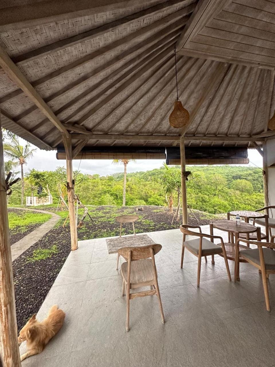 Restaurant/places to eat, View (from property/room), Garden view