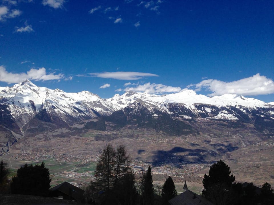 View (from property/room)