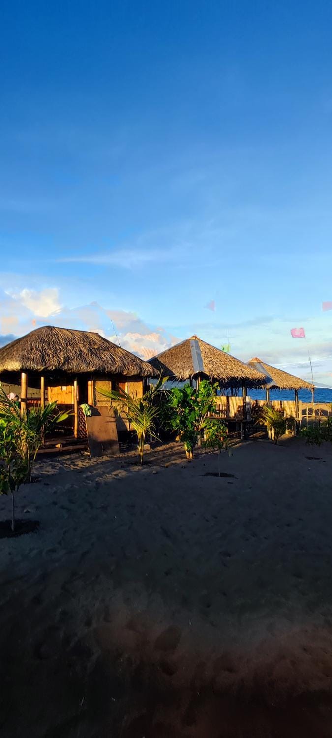 Willie's Beach Resort Bed and Breakfast in Bicol