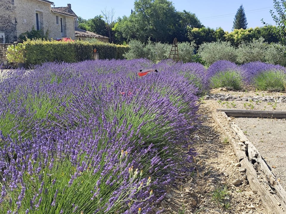 Le Mas du Four a Chaux House in Gordes