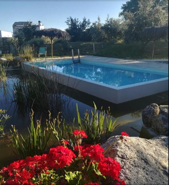 Natural landscape, Pool view, Swimming pool