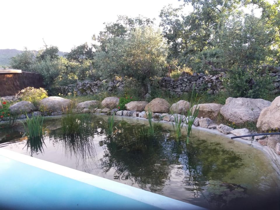 Lake view