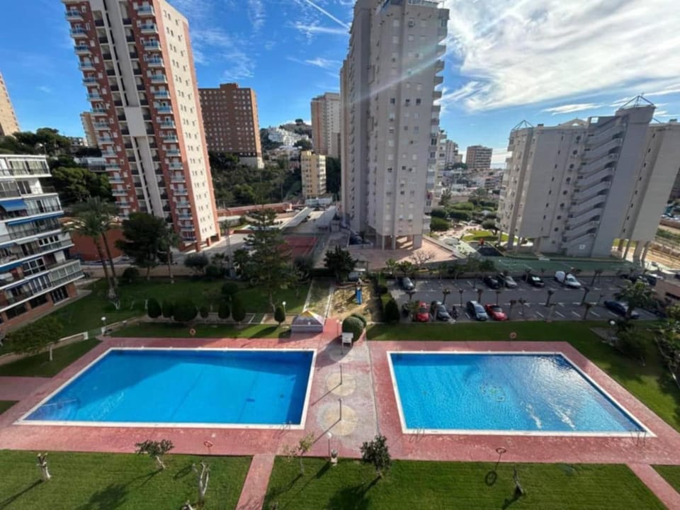 Natural landscape, Garden, City view, Pool view, Swimming pool