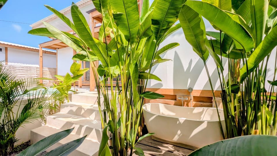 Property building, Swimming pool, Open Air Bath, Bath