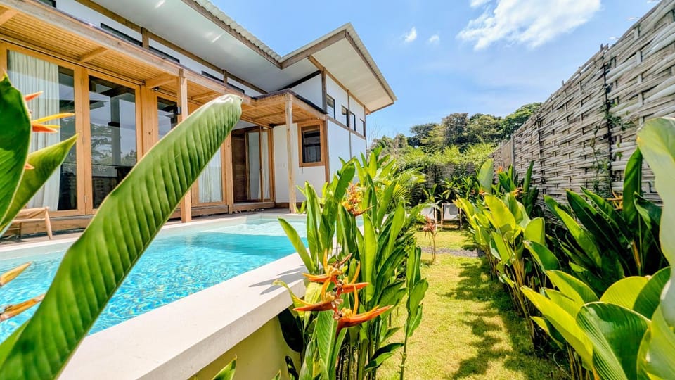 Property building, Garden, Garden view, Pool view, Swimming pool