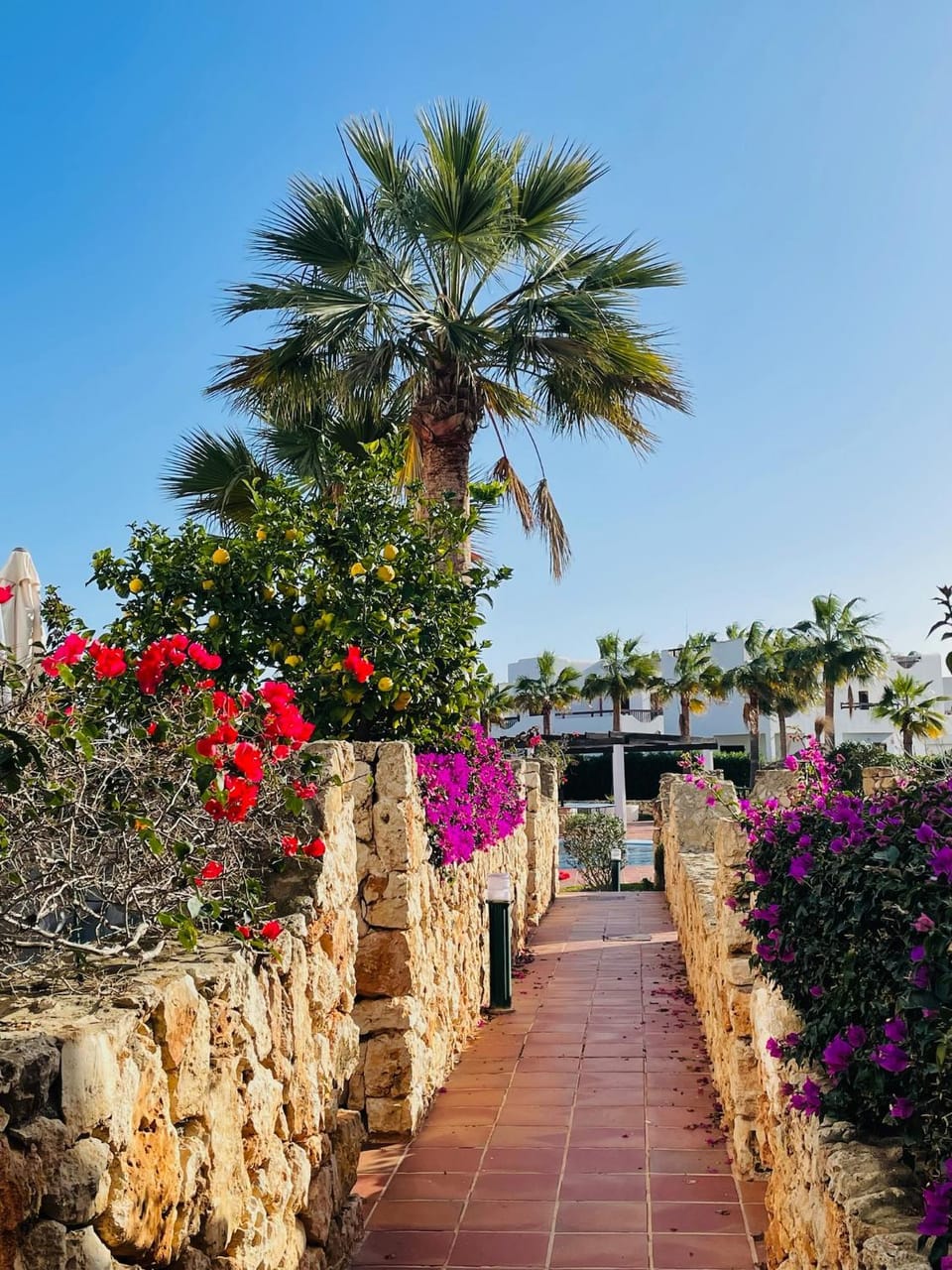 Garden view