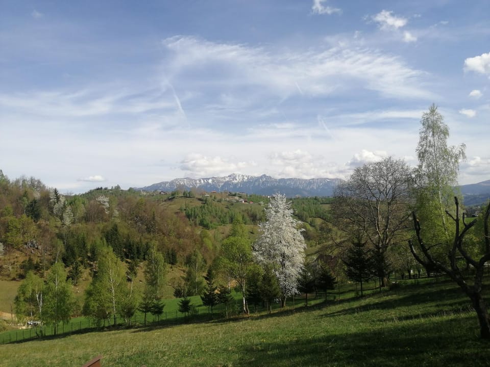 Spring, Natural landscape, Mountain view