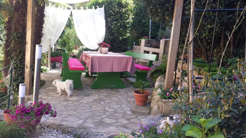 Garden, Pets