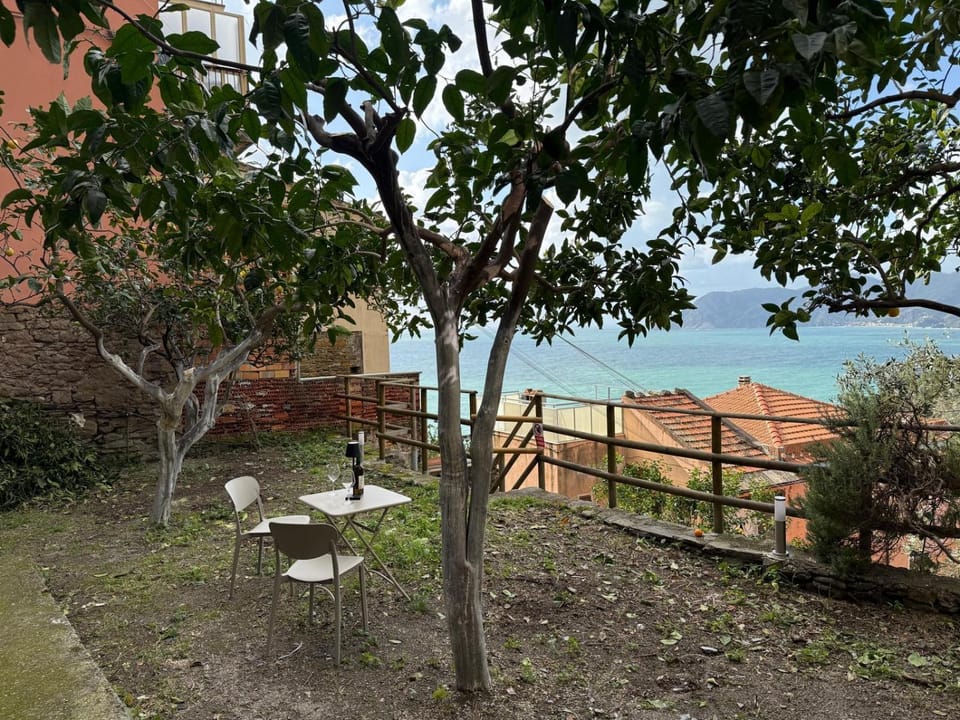 Garden, Sea view