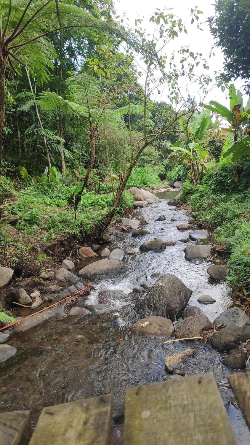 Joglo River Pure Nature Lodging House in Bali