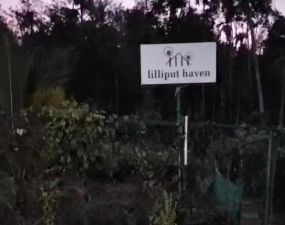 LilliputHaven Treehut Bed and Breakfast in Kerala
