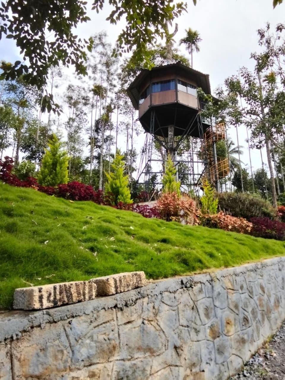 LilliputHaven Treehut Bed and Breakfast in Kerala