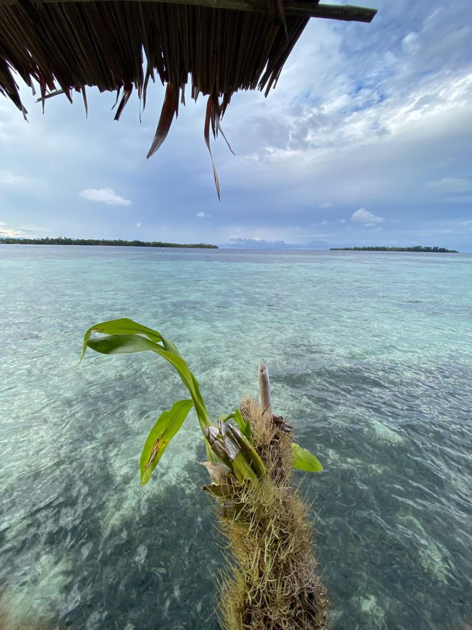 Sea view
