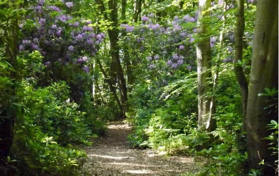 Les gîtes du Mesnil chambre deluxe Bed and Breakfast in Honfleur