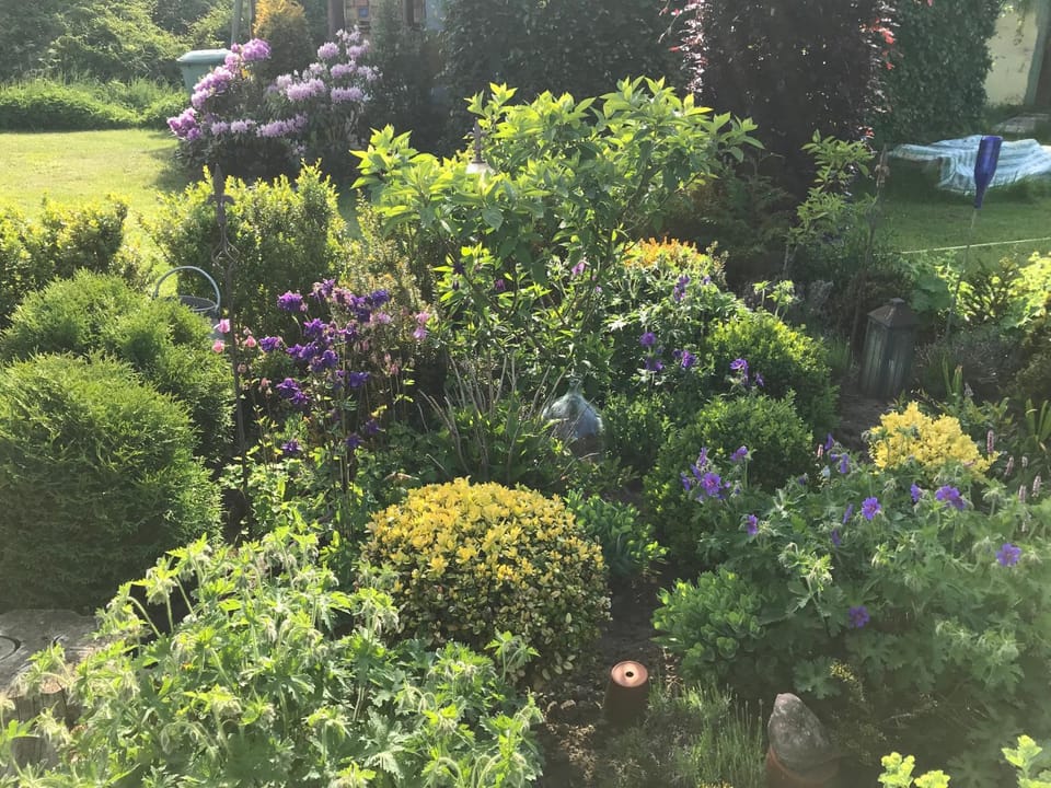 Garden, Garden view