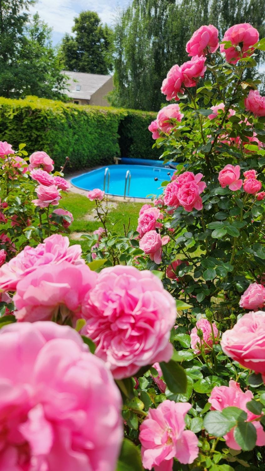Ferienhaus RENA mit Pool House in Saxony