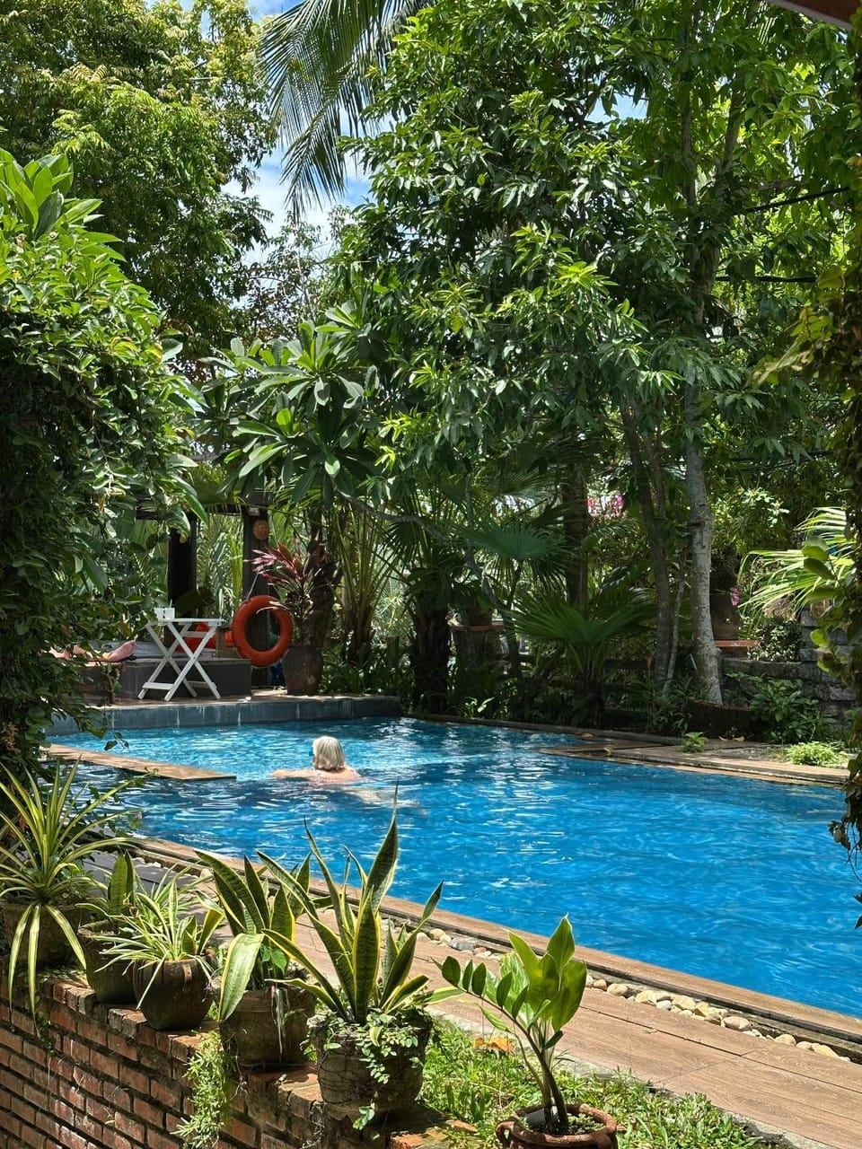 Guests, Swimming pool